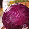 紫甘蓝 1颗（次日达/配送到家） 商品缩略图2