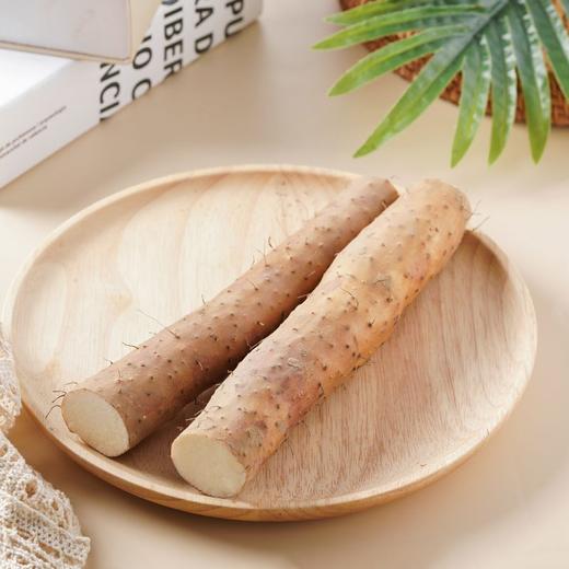 铁棍山药 1根 商品图4