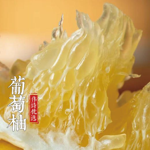 伟诗优选 | 葡萄柚 商品图1