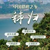 【京东快递】秭归九月红脐橙 专属于秋天的【甜】皮薄肉满 无籽无渣  糖度高达12° 9分甜1分酸10分香 BCS 商品缩略图8