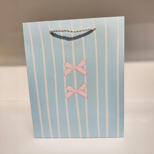 高级感蝴蝶结卡通手提中号礼袋-纪念日百货门店同款167901687 商品图0