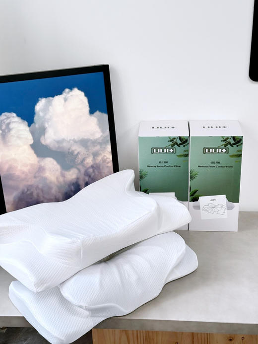 D112534支撑颈部的基本构造有效改善睡眠质量立体蝴蝶枕 商品图2