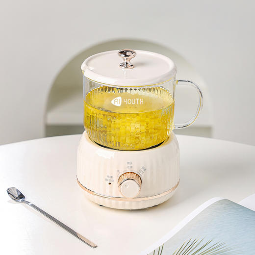 AIYOUTH艾青春多功能养生杯 MY-203 商品图3