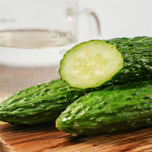 长黄瓜 450g~500g（次日达/配送到家） 商品图4