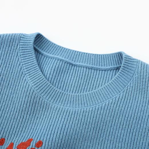 D112526刺绣针织衫宽松女2025秋冬季新款设计感休闲长袖毛衣 商品图10