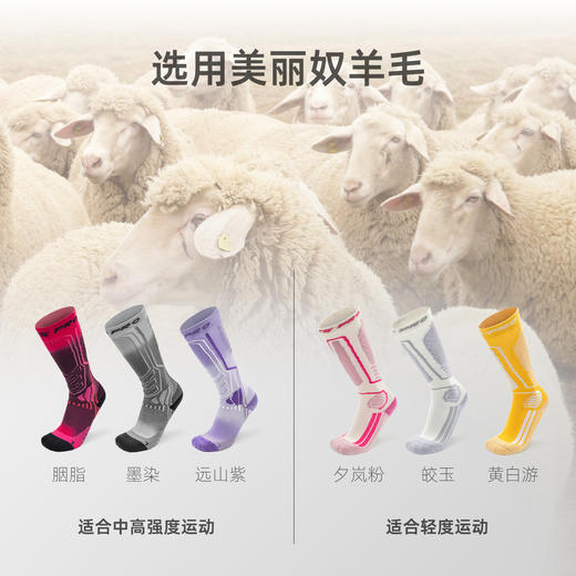 【25年滑雪季】2526 Antspro美丽奴羊毛滑雪袜专业户外女透气保暖耐磨男毛巾运动袜 商品图1
