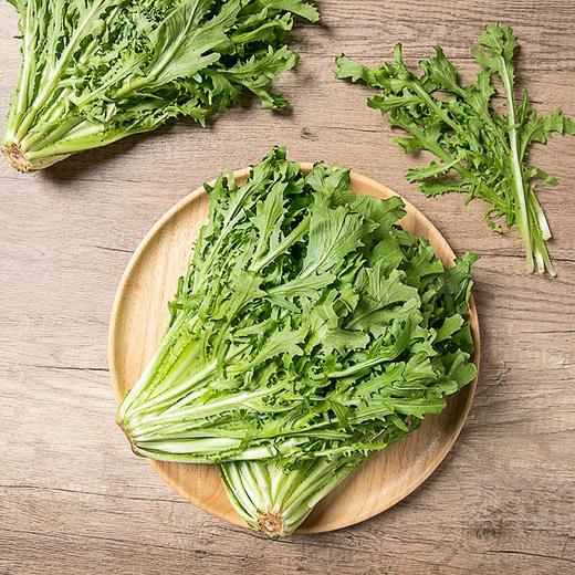 苦菊 300g 商品图1