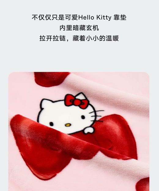 D112537二合一法兰绒抱枕毛毯黑皮豹纹组合毯靠垫 商品图14