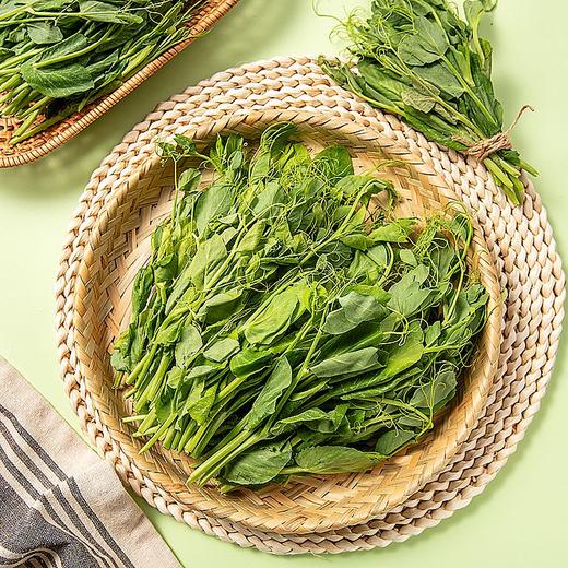 豌豆尖 200g 商品图5