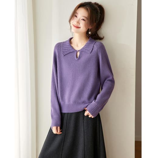 娃娃领镂空针织毛衣，高级感洋气内搭减龄打底上衣厚CC-27-25252 商品图1