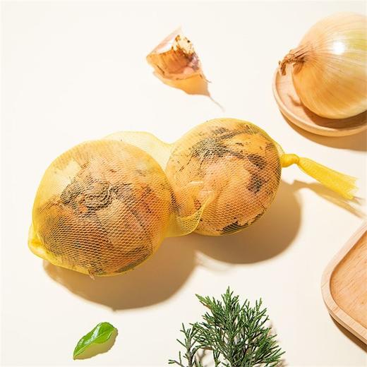 黄洋葱 1个 商品图1