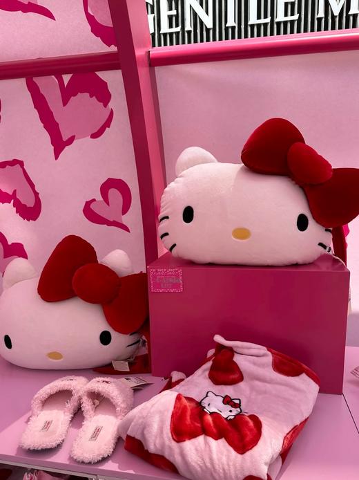 D112537二合一法兰绒抱枕毛毯黑皮豹纹组合毯靠垫 商品图10