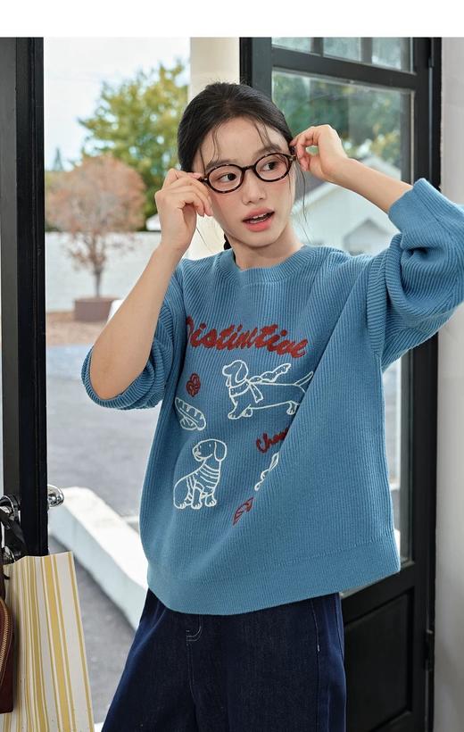 D112526刺绣针织衫宽松女2025秋冬季新款设计感休闲长袖毛衣 商品图2