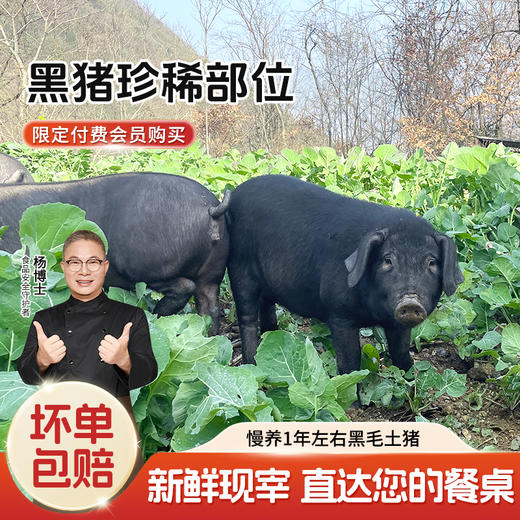【杨博士付费会员专属】专属产品黑猪猪肚/黑猪大肠 商品图0