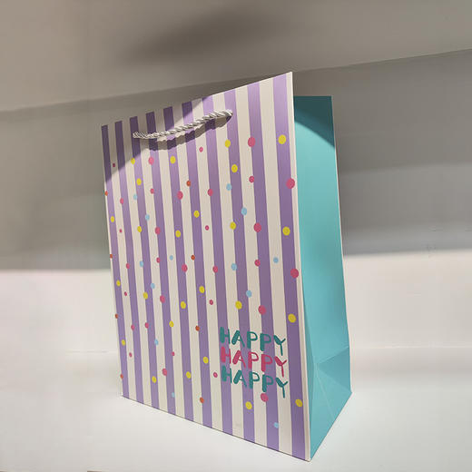 高级感条纹元素卡通手提中号礼袋-纪念日百货门店同款167901661 商品图2