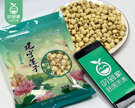豪哆咪建宁通芯白莲子干货（中果）/1份（250g*2包）生产日期：25年11月补单专用 商品图3