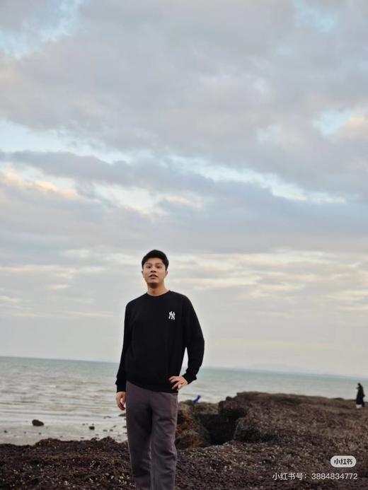 D112545万针刺绣LOGO纯色圆领加绒加厚卫衣 商品图14