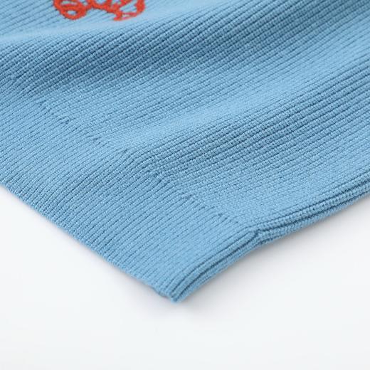 D112526刺绣针织衫宽松女2025秋冬季新款设计感休闲长袖毛衣 商品图13