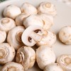 白蘑菇口蘑 200g 商品缩略图4