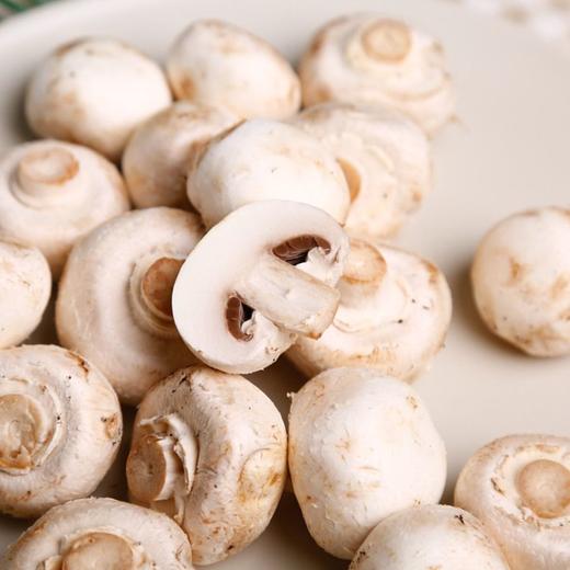 白蘑菇口蘑 200g 商品图4