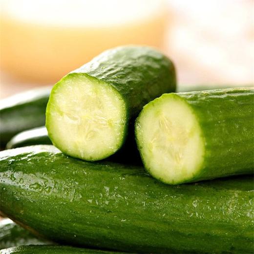 荷兰黄瓜 1根 商品图2
