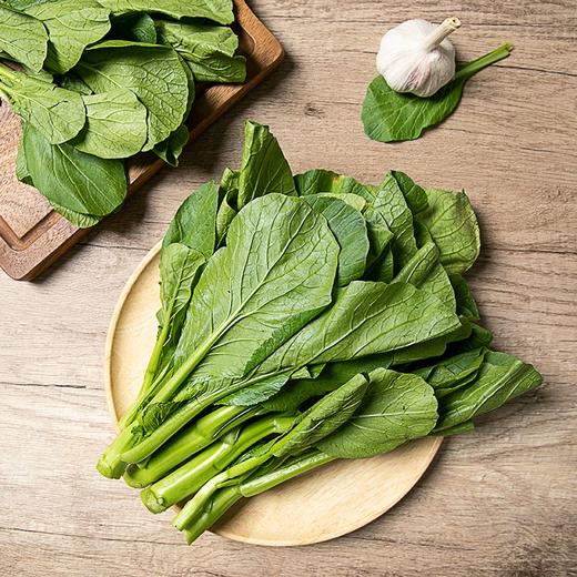 菜心 1把 商品图7