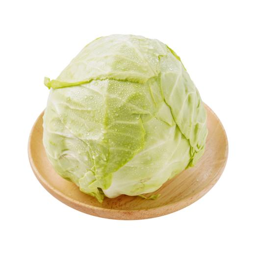 圆白菜 1颗 商品图0