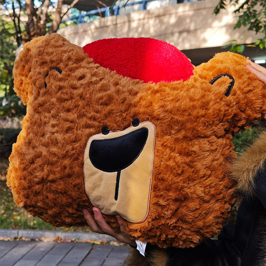50cm可爱熊头玩偶睡觉抱枕-纪念日百货门店同款167894114 商品图2