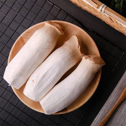 杏鲍菇 3支 商品图2