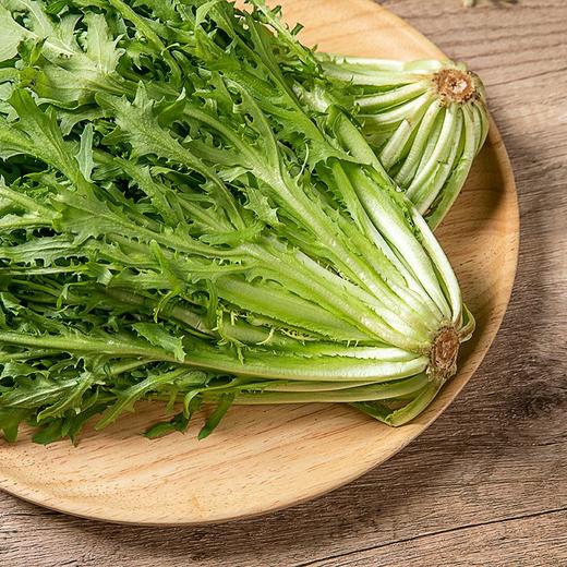 苦菊 300g 商品图3