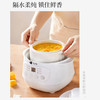 AIYOUTH艾青春电炖锅10A 商品缩略图5