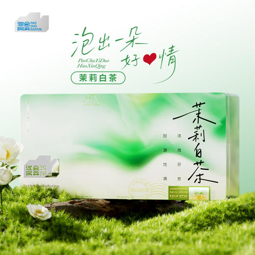 泡朵茶叶礼盒装便携袋装组合茶香四溢送礼佳品组合款7种口味 商品图5