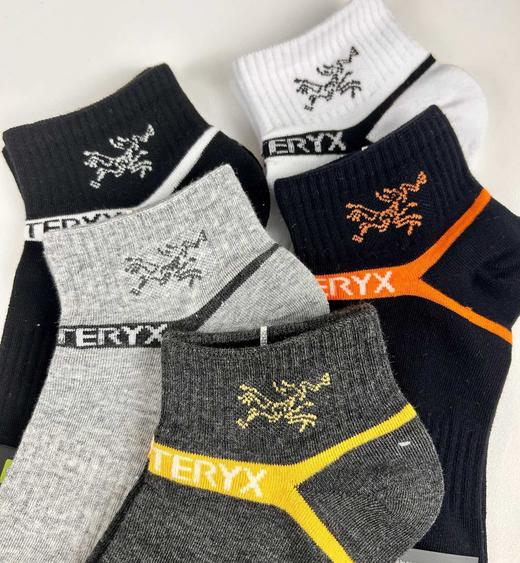 D112577一包十双装精梳棉耐磨耐穿男女同款低帮短袜 商品图8