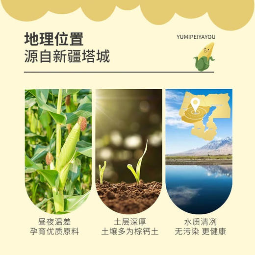 绿洲果实·压榨一级玉米胚芽油5L 非转基因家用食用油 商品图2