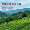八马茶业｜马到成功骏眉红茶（品相大罐）地标产区正宗原产300g 商品缩略图1