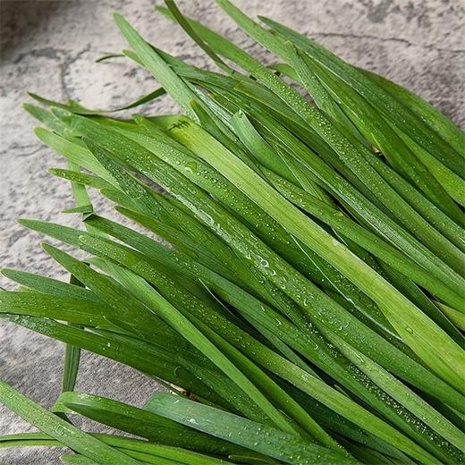 韭菜 300g 商品图2
