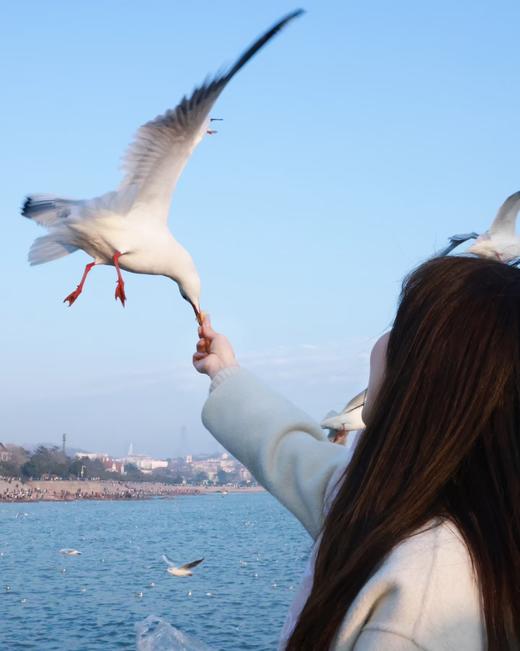 L名媛粉羊绒桑蚕丝围巾 商品图1