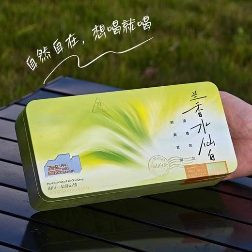 泡朵兰香水仙白紧压白牡丹袋装便携礼盒 商品图1