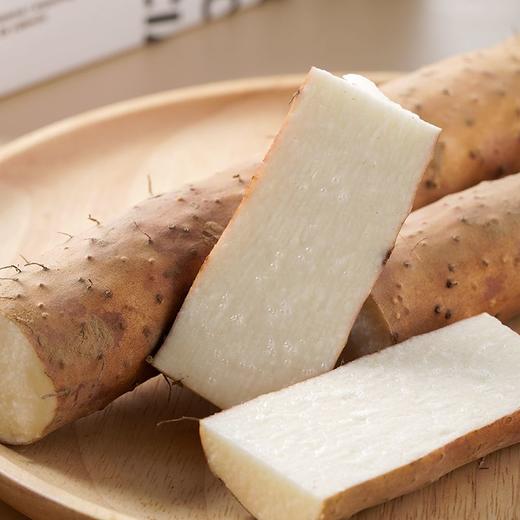 铁棍山药 1根 商品图1