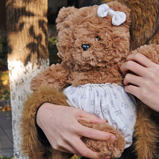 25cm穿衣小熊玩偶公仔毛绒玩具生日礼物毛绒公仔-纪念日百货门店同款167796485 商品图3