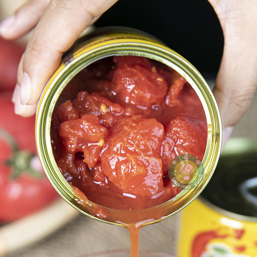 半亩园新疆有机番茄丁 净重300g*6罐 商品图6