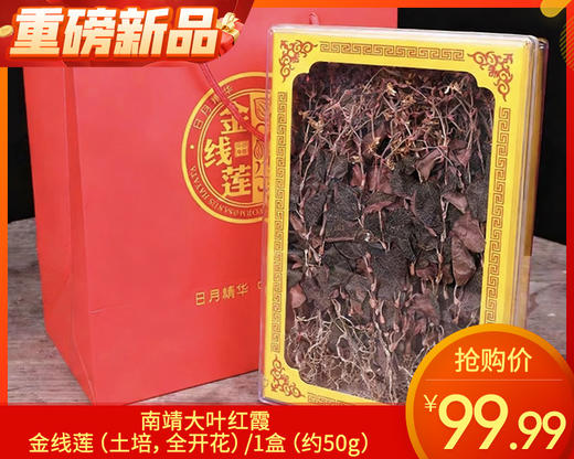 南靖大叶红霞金线莲（土培，全开花）/1盒（约50g）生产日期：25年11月补单专用 商品图0