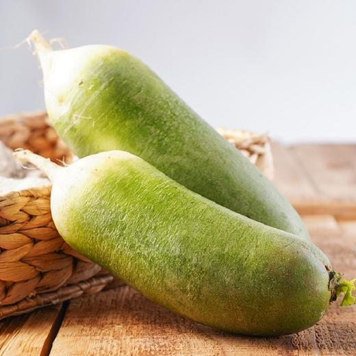 沙窝萝卜 1根 商品图2