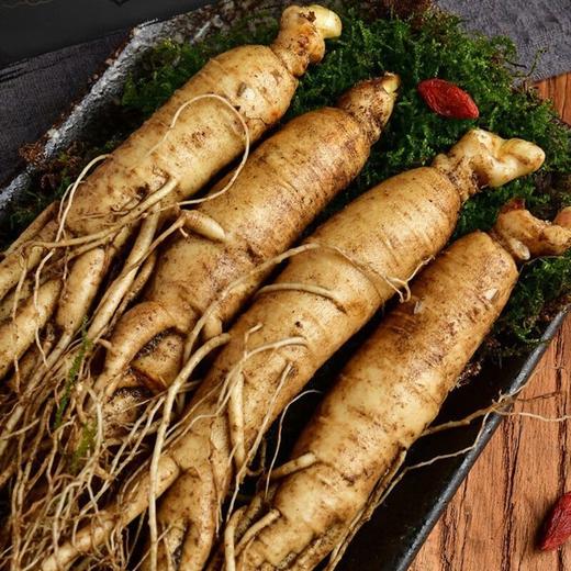 热售【酒浸保鲜参】长白山酒浸保鲜参+送6种散装泡酒材料 锁阳+鹿茸+当归+玛咖+灵芝+枸杞 商品图3