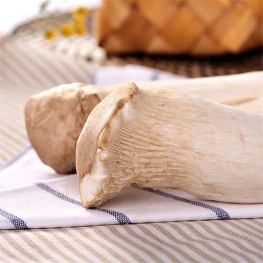 杏鲍菇 3支 商品图3