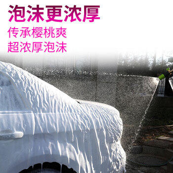 龟牌（Turtle Wax）樱桃爽金棕榈2L洗车液水蜡汽车高泡沫清洗剂喷壶套装TC-400704 /汽车用品 /美容清洗 /清洁剂 商品图1