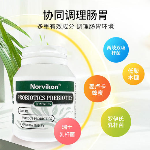 诺维肯清幽养胃片 商品图1