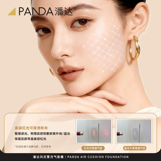 【买1送1替换芯】潘达气垫bb霜18g混干皮油皮美容修饰保湿 商品图5