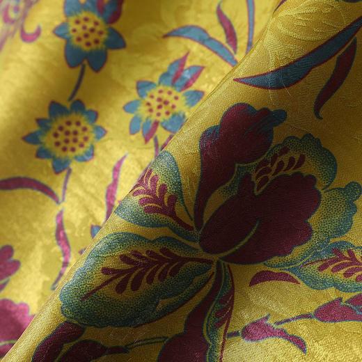 新中式国风毛领毛边斜襟棉服女保暖复古加棉加厚唐装外套棉衣冬 商品图3