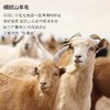 【桑蚕丝羊毛保暖内衣无痕男德绒】发热内穿加绒打底背心冬季抗菌上衣 商品缩略图1